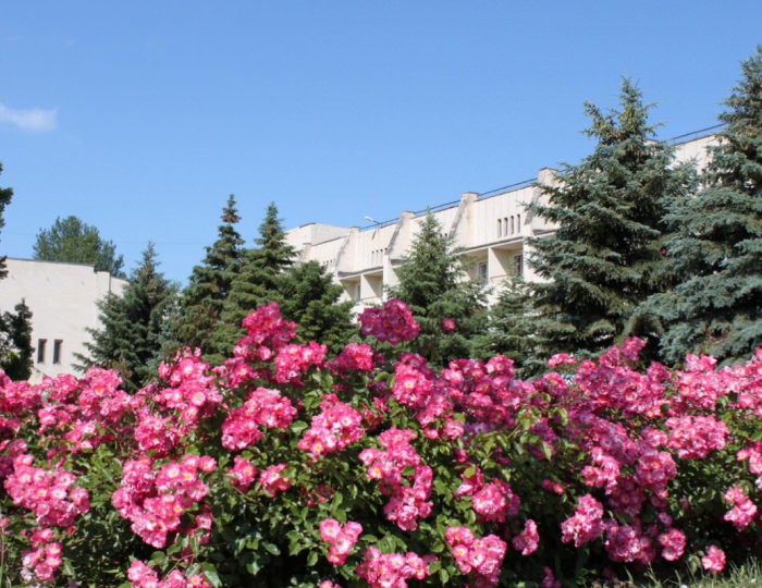 Внешний вид и территория - Курортный отель «Таврида мыс Лукулл»